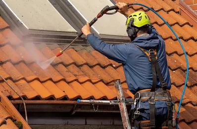 Démoussage et hydrofuge de toiture à Cescau